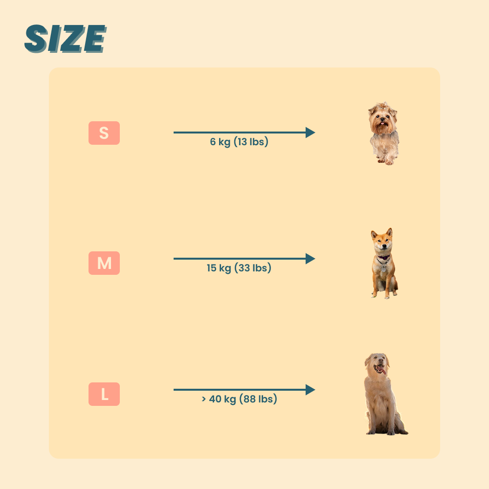 PawRest - Multifunctional Dog Bed 