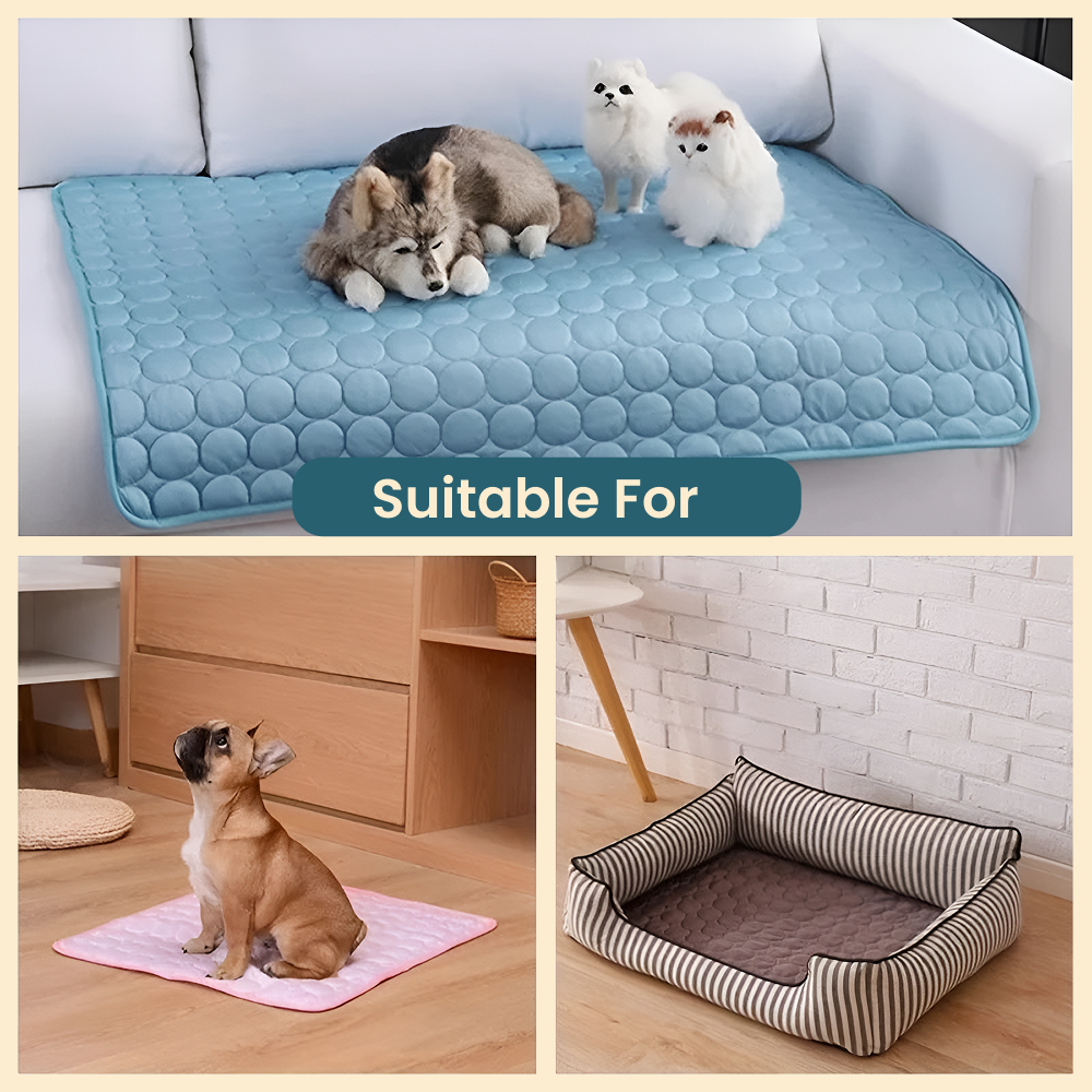 PawChill - Summer Cooling Pad 