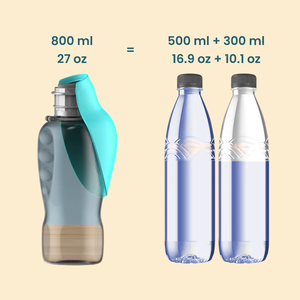 QuickSip - Travel Water Bottle (27oz)