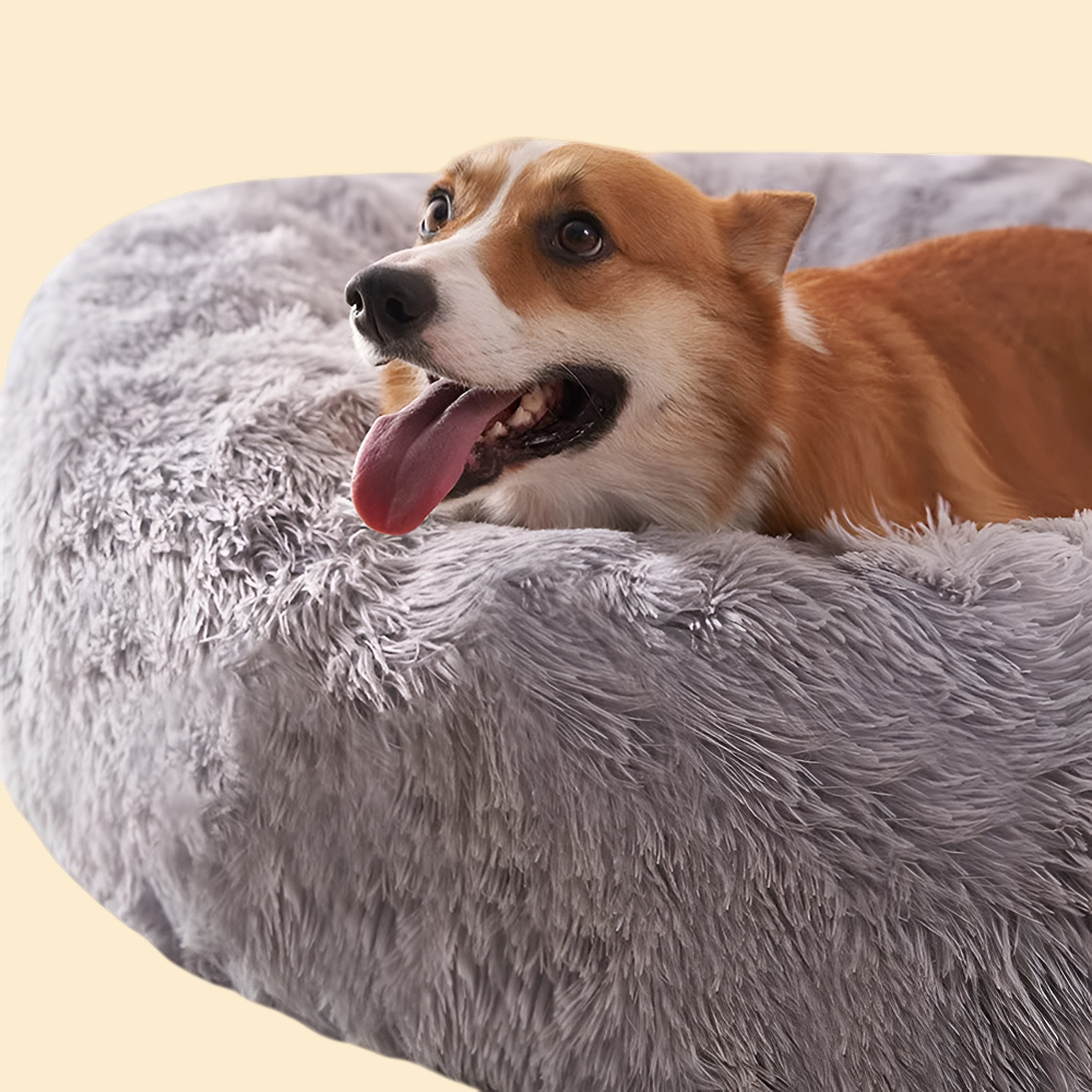 PawNest - Super Soft Bed