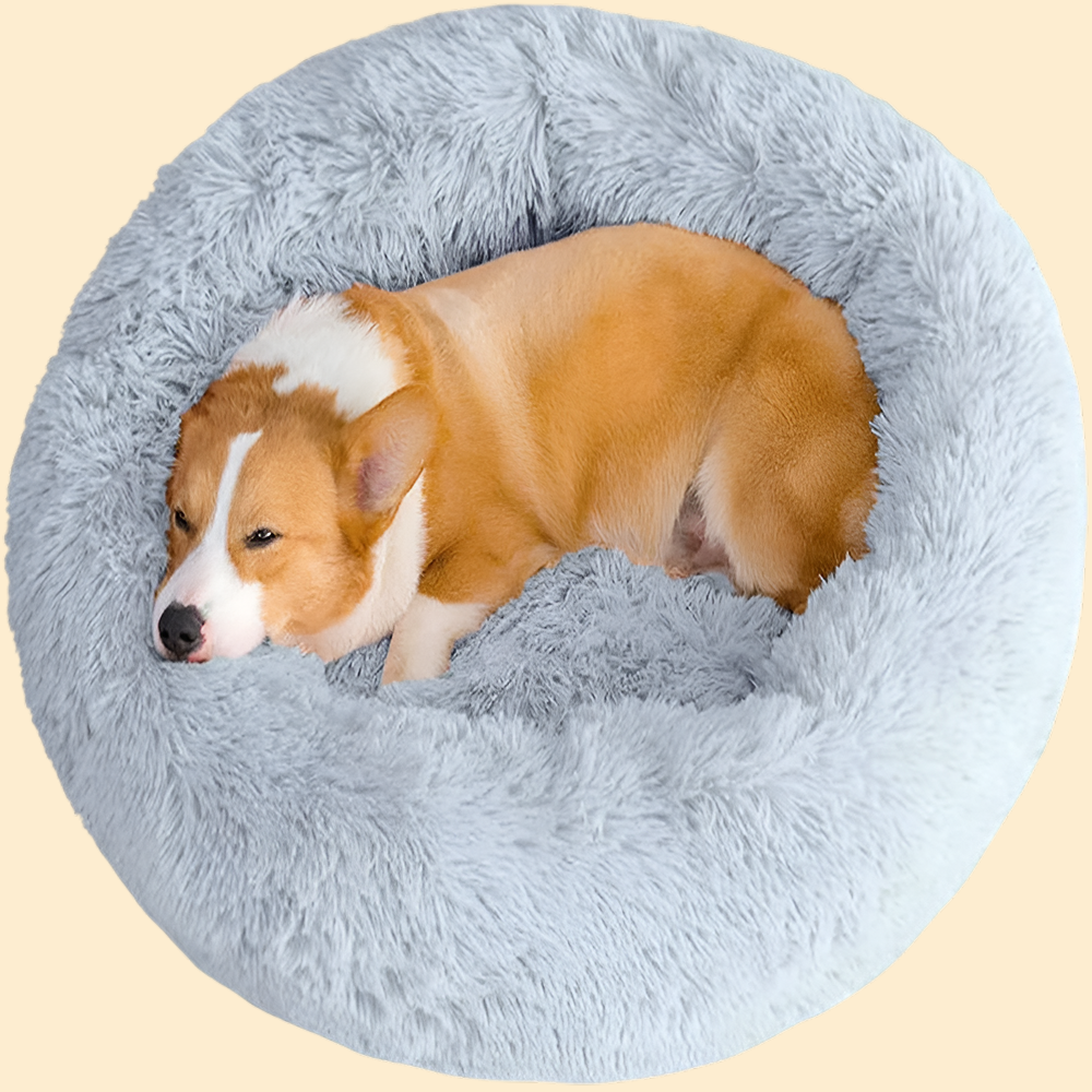 PawNest - Super Soft Bed