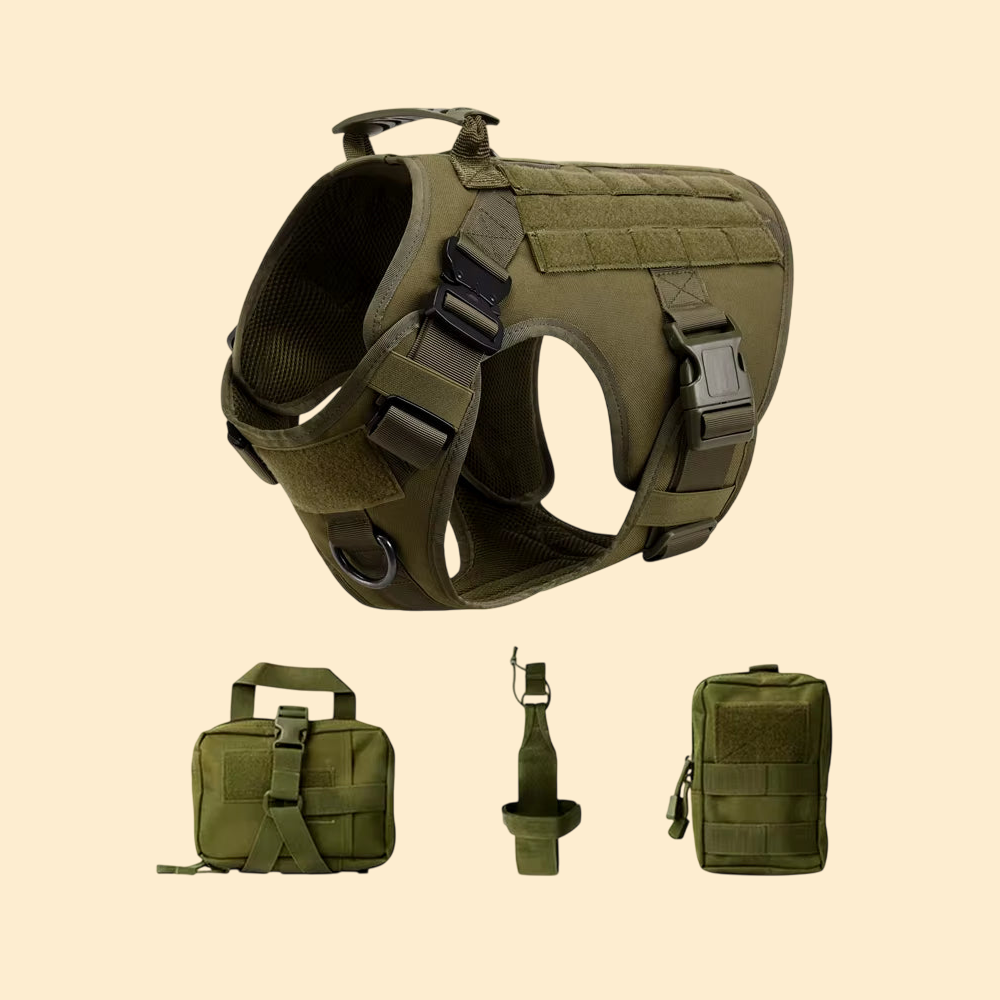 (New)AlphaPaw - Tactical Harness Set