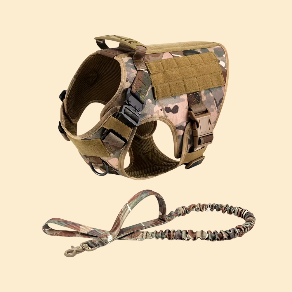 (New)AlphaPaw - Tactical Harness Set