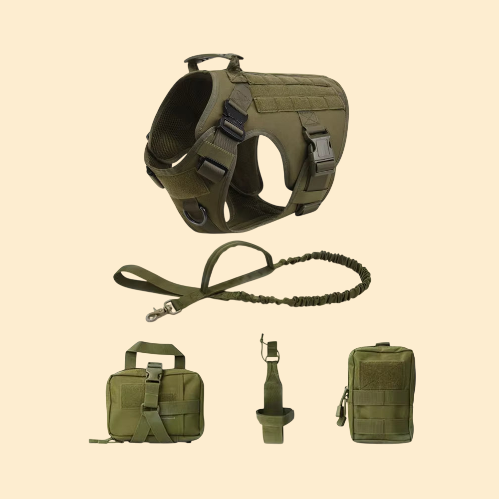 (New)AlphaPaw - Tactical Harness Set