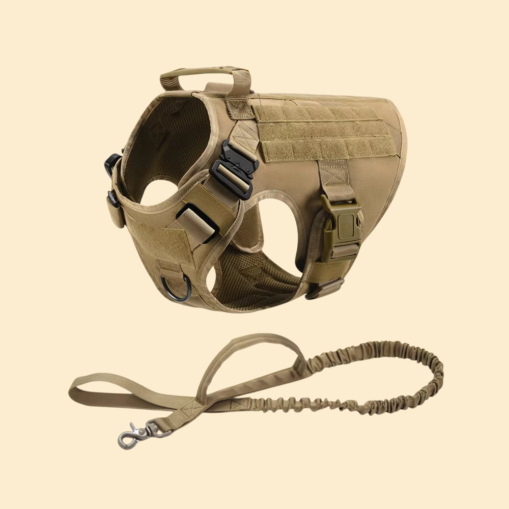 (New)AlphaPaw - Tactical Harness Set