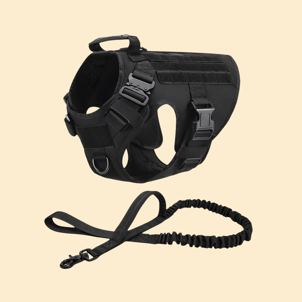 (New)AlphaPaw - Tactical Harness Set