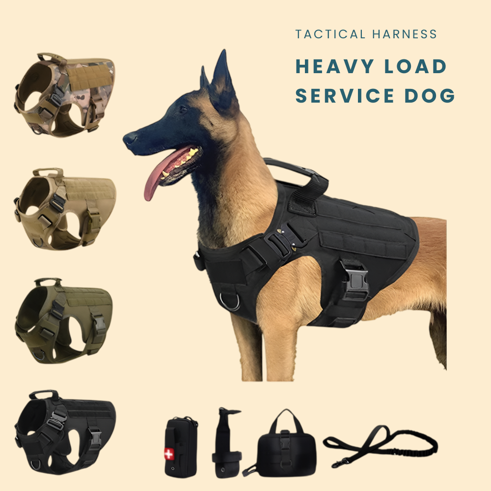 Tactical Military Vest Pet German Shepherd Golden Retriever Tactical Training Dog Harness and Leash Set for All Breeds Dogs