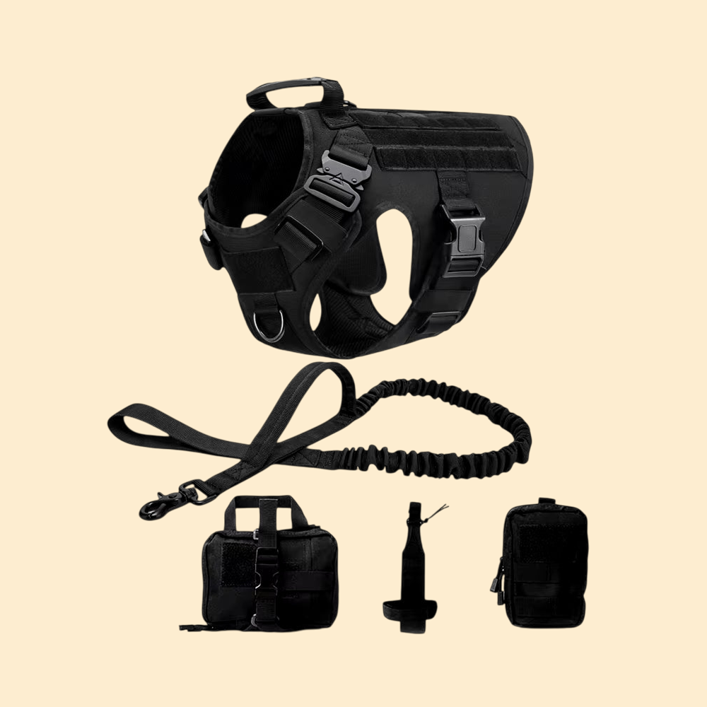 (New)AlphaPaw - Tactical Harness Set