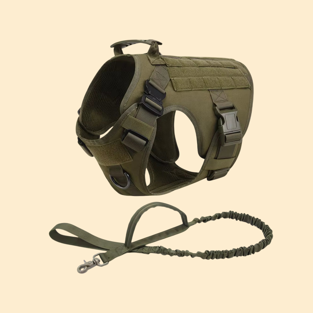 (New)AlphaPaw - Tactical Harness Set