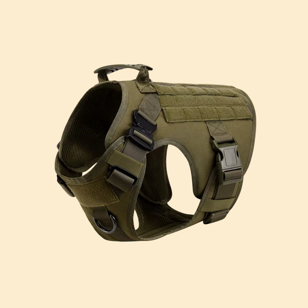 (New)AlphaPaw - Tactical Harness Set