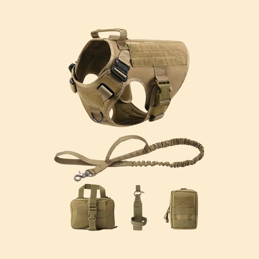 (New)AlphaPaw - Tactical Harness Set